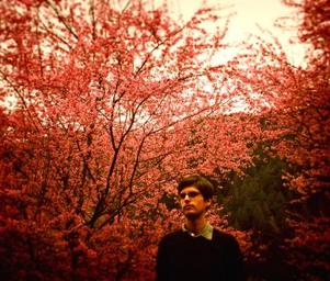Helios_keith_kenniff