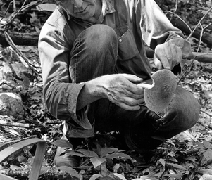 John_cage_research