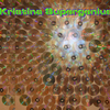 Kristina_supergenius_kristinasupergeniusfr