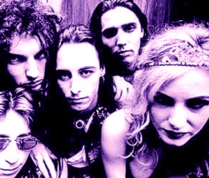 Lords_of_acid_violet