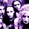 Lords_of_acid_violet