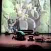 Lucky_dragons_trance