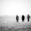 Moderat