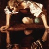 Narcissus