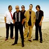 Nortec_collective