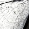 Parametric_l_adad30e9a0e44ad48eeaa2889b2e