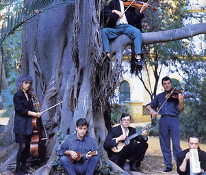 Penguin_cafe_orchestra_penguin_cafe