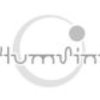 Phylum_sinter