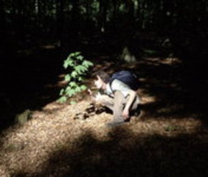 Pilote_inthewoods