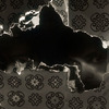 Pink_stallone_pinkstallone_photo01