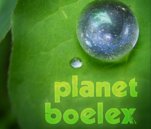 Planet_boelex_avatar