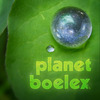 Planet_boelex_avatar