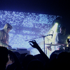 Pretty_lights_pl