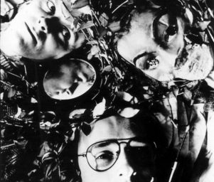 Severed_heads