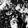 Severed_heads