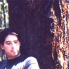 Shulman