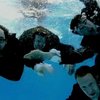 The_beta_band_1383_320x240