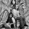 The_entrance_band