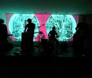 The_oscillation_theoscillationlive