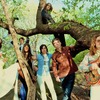 The_phenomenal_handclap_band_tphcb