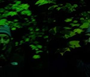 The_white_lodge_wegreen