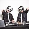 The_white_panda_img_2535