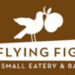 Fllyingfig_thumb_big