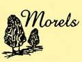Morels