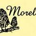 Morels_thumb_big