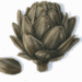 Artichoke_thumb_big