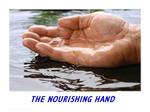 The Nourishing Hand
