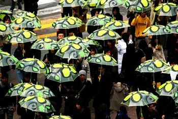 100umbrellas