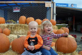 Pumpkin Patch