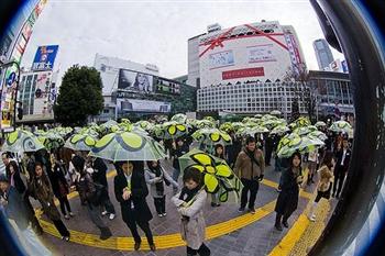 100umbrellas