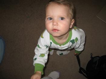 My little terror