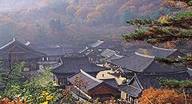  Korea 2007