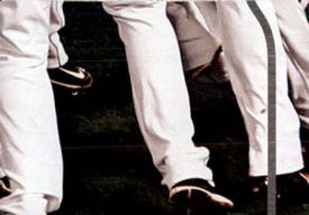 Pick Your Cards 2014 Topps MLB Baseball Sticker Collection (#201-315) - Picture 230 of 231