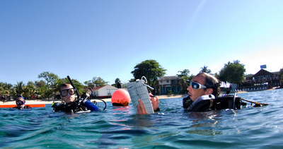 evaluating in the PADI instructor development course