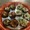 Vegetarian Pesto and Cheese Stuffed Mushrooms