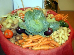 Organicos0203