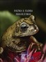 Livro%20fauna%20flora%20brasileiras
