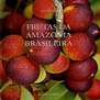 Livro-frutas-brasileiras