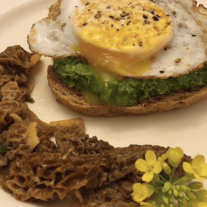 Duck egg served over stinging nettle pesto and organic whole wheat bread served with foraged morel mushrooms in sage sauce garnished with radish flowers. We didn't grow the wheat, although we are growing red winter wheat this year.