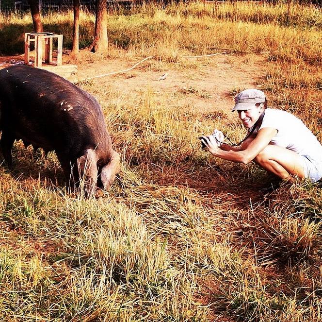 Susan meeting her bacon at Walker Century Farms, our friends down the road in Anderson, SC. They raise grass-fed, grass-finished Red Devon Cattle (the oldest breed on earth) on their farm that has been in their family for over 100 years.