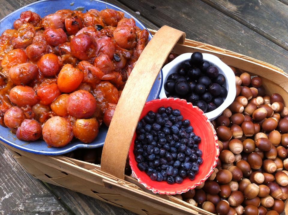 Wild-foraged persimmons, muscadine grapes, tupelo fruit and acorns from a fall walk in the woods. Our native persimmons are one of the most delicious fruits we've ever eaten. They can't be stored or transported to a grocery store since they virtually turn to mush when they're perfectly ripe.