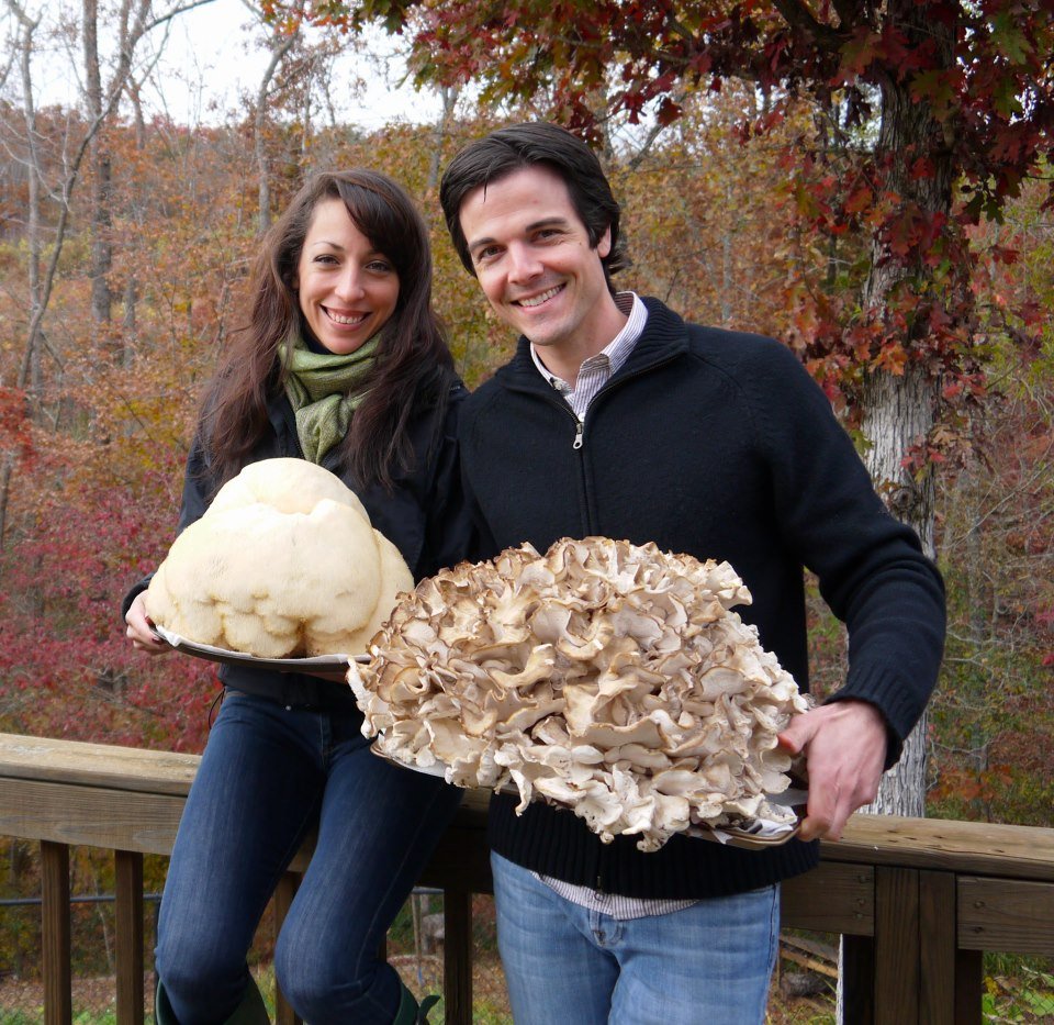 Two prized edible and medicinal mushrooms in the world, both weighing over 20 pounds: lion's mane (left) and maitake (right). Both found on a fall foraging excursion.