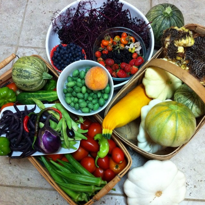 This is a fairly typical summer night's harvest from our yard.
