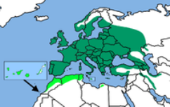 Rozsireni