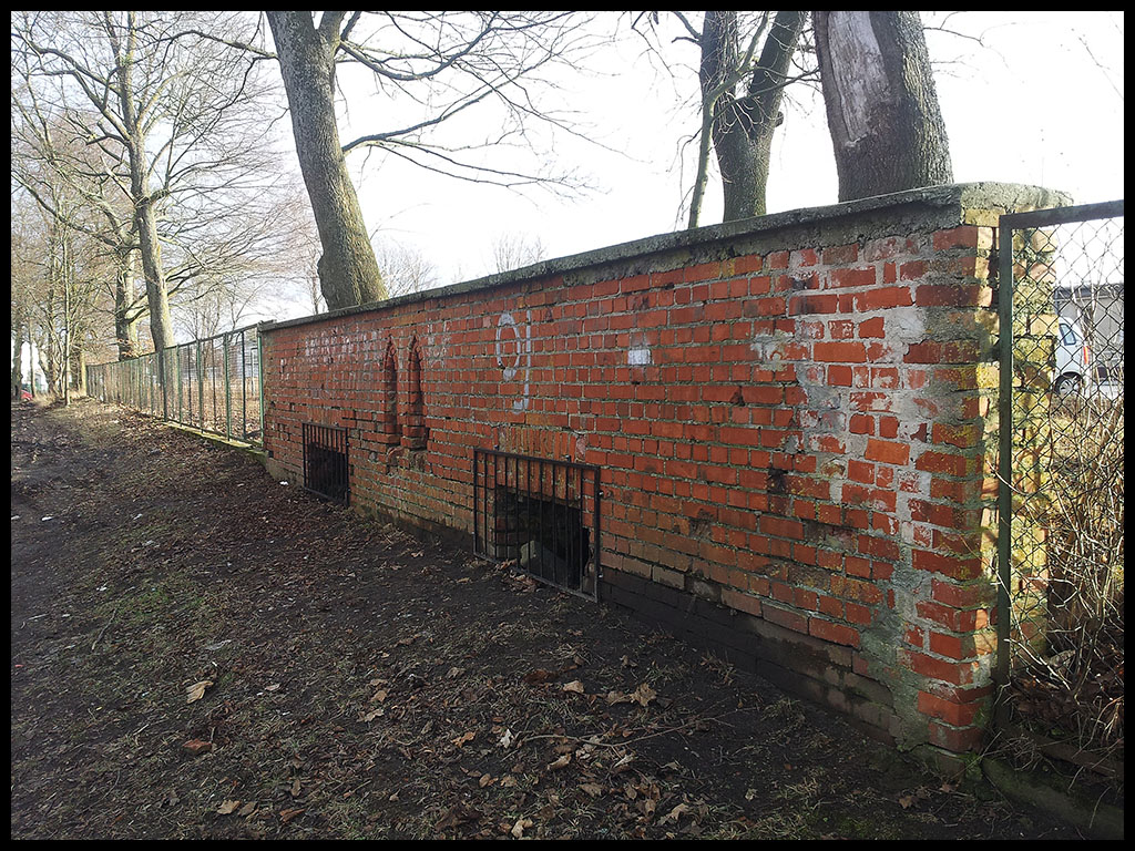 Ruiny dworu w Bysewie