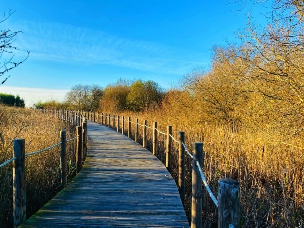 Passadiços da Barrinha